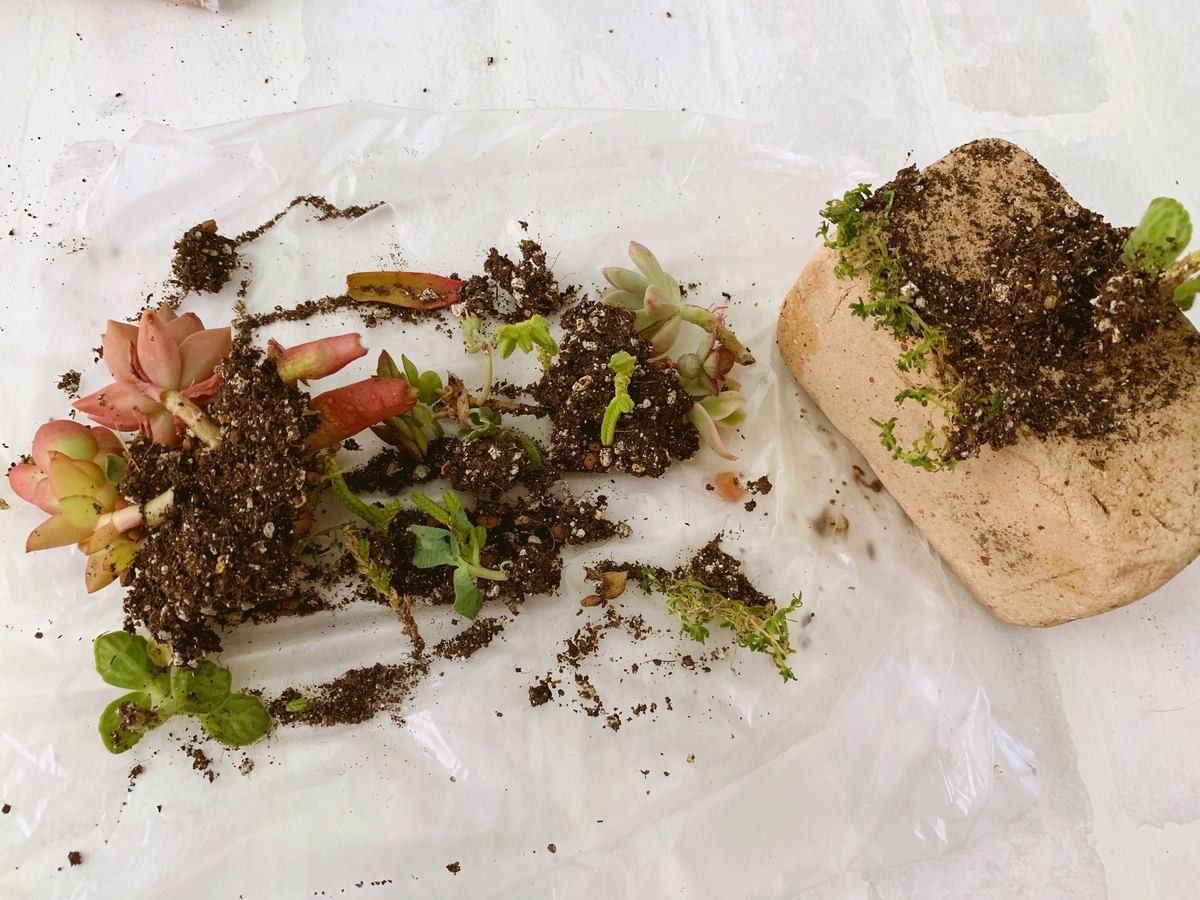 f:id:sarees:20190424090349j:plain