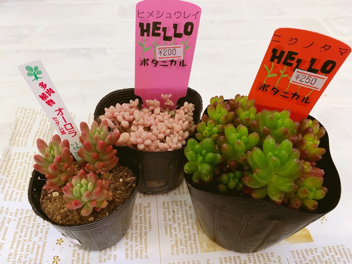 f:id:sarees:20190424091442j:plain