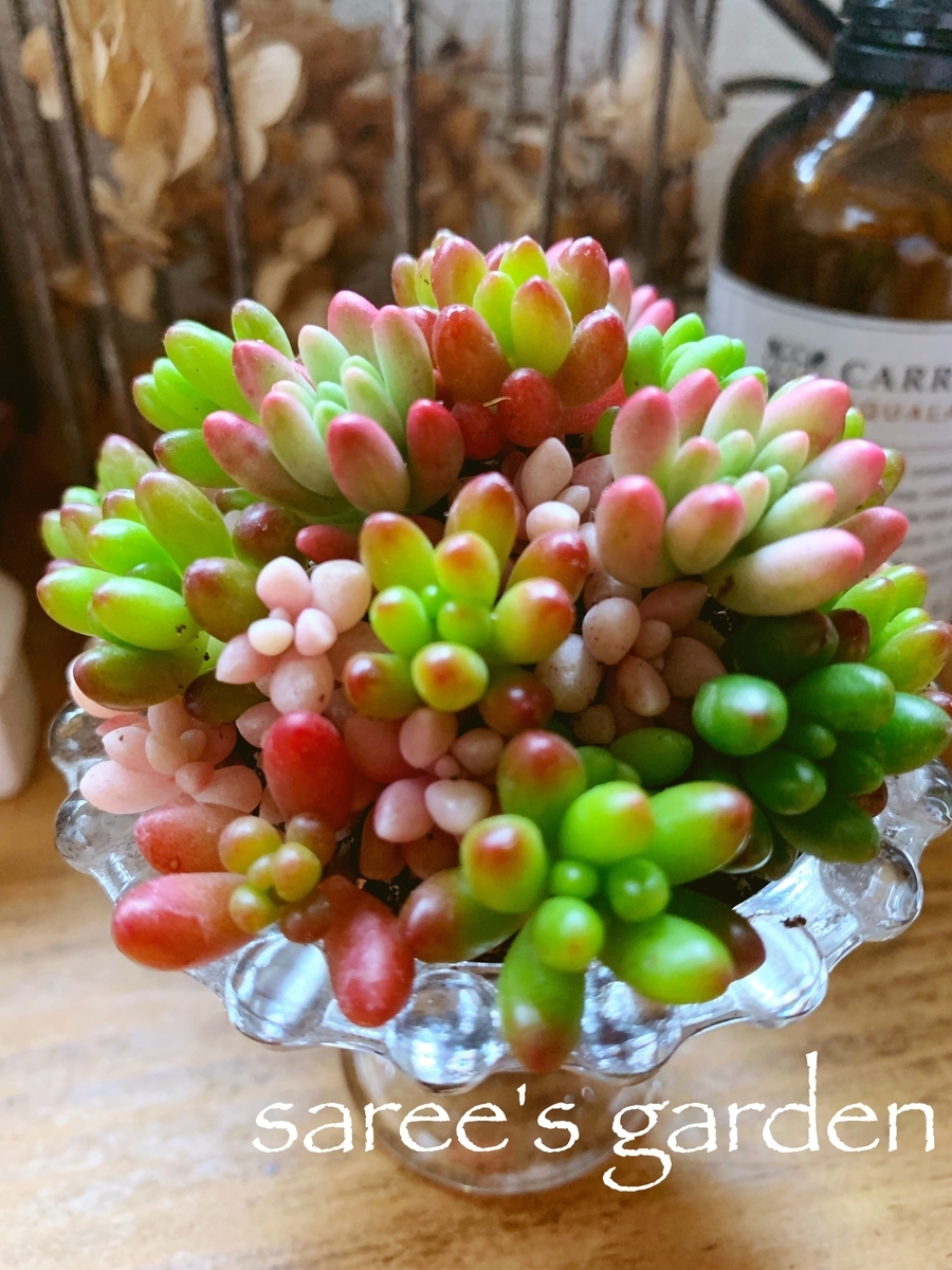 f:id:sarees:20190426095104j:plain