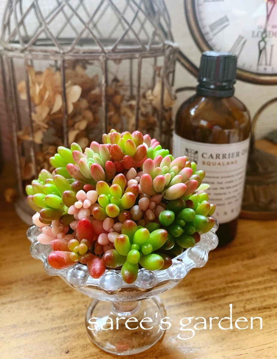 f:id:sarees:20190426095130j:plain