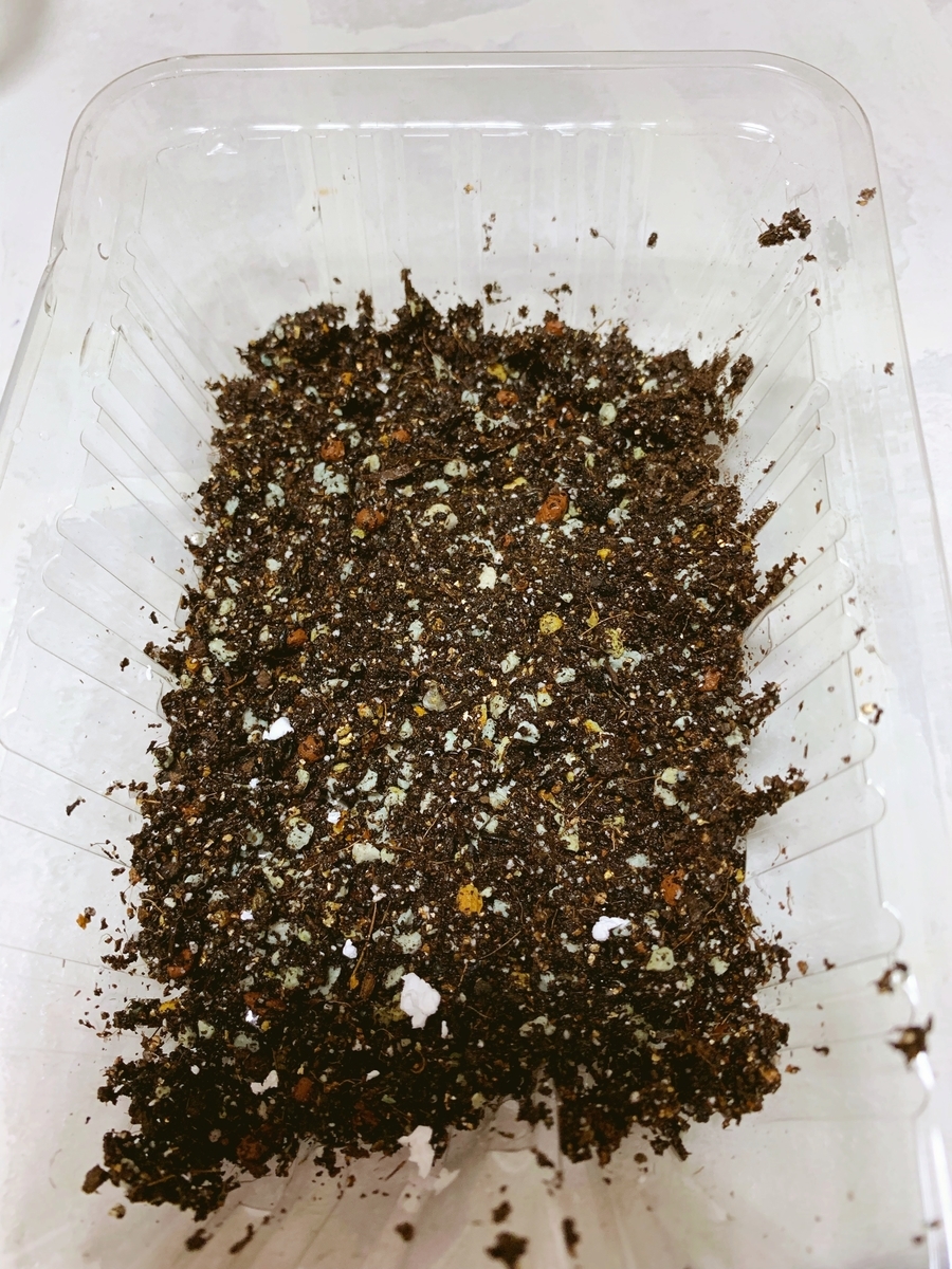 f:id:sarees:20190426095734j:plain