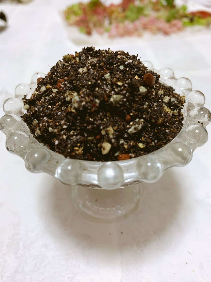 f:id:sarees:20190426095905j:plain