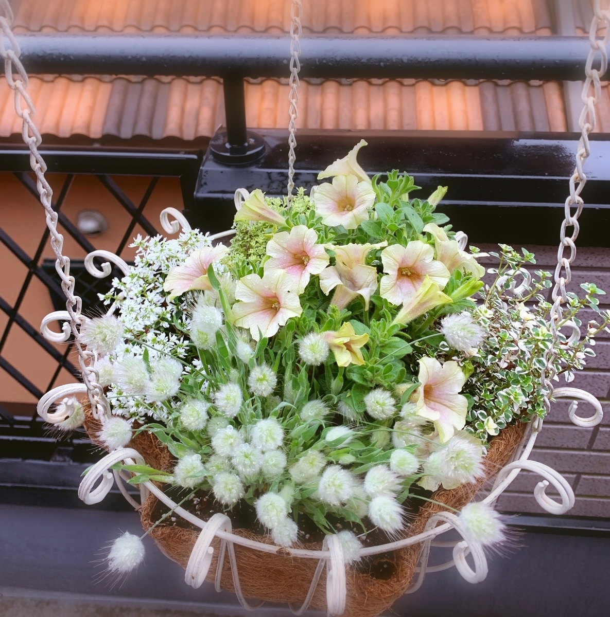 f:id:sarees:20190426111628j:plain