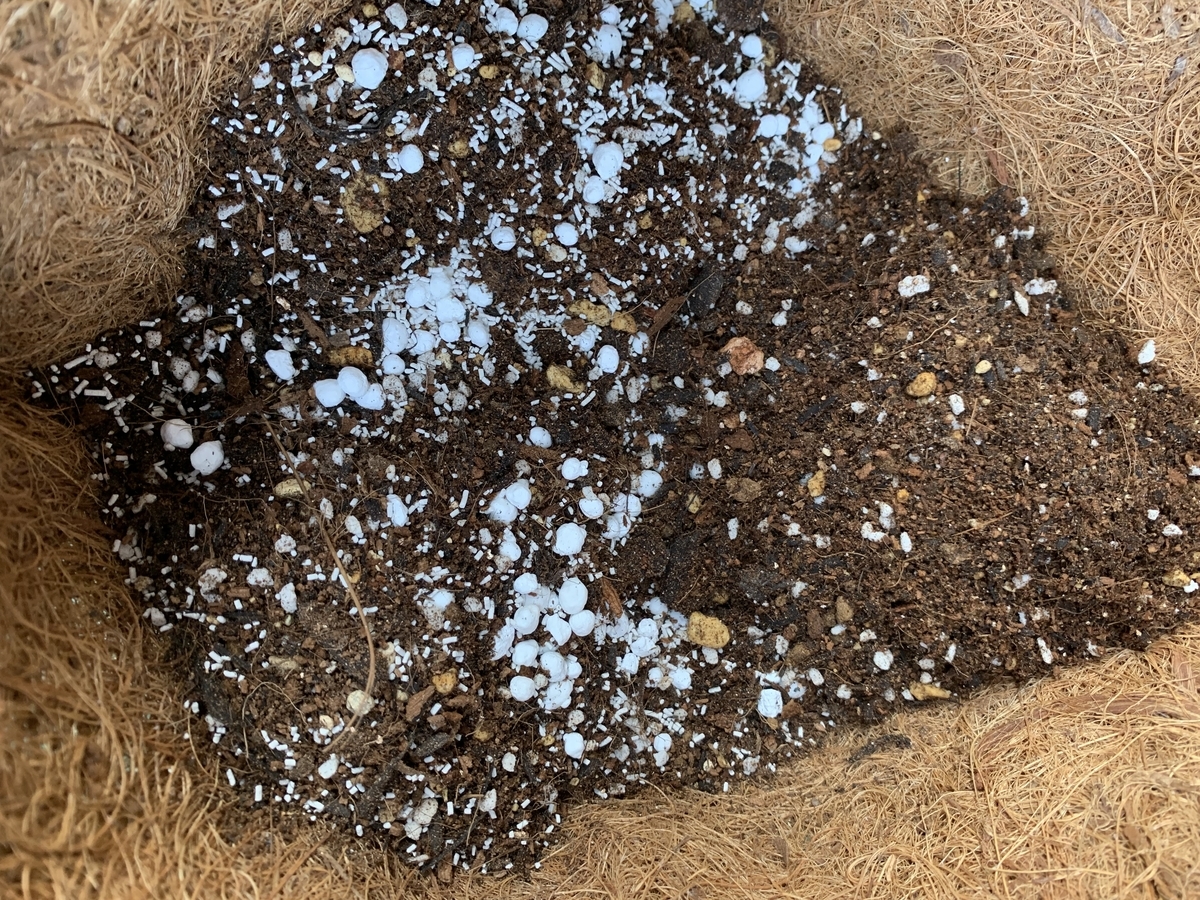 f:id:sarees:20190426154139j:plain