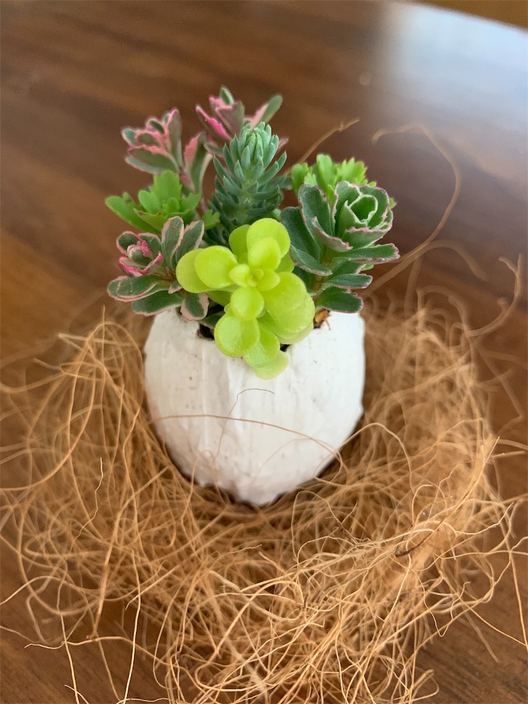 f:id:sarees:20190429200127j:image