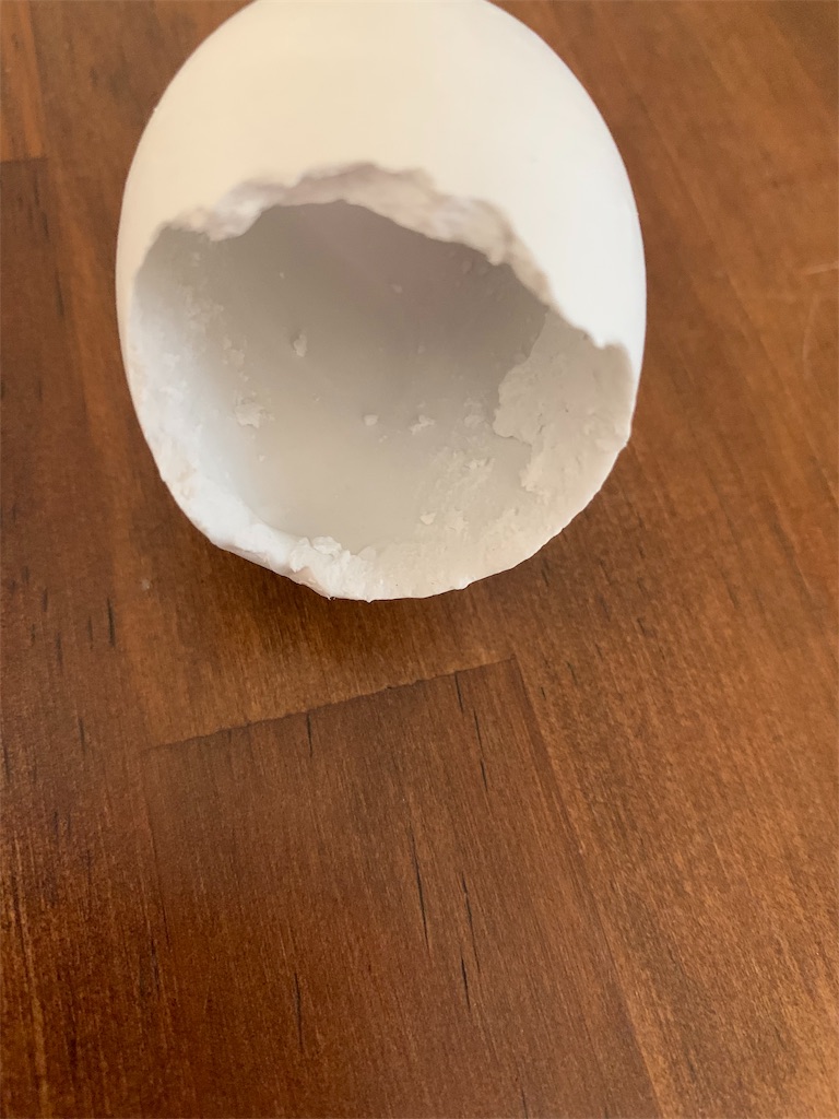 f:id:sarees:20190429200720j:image