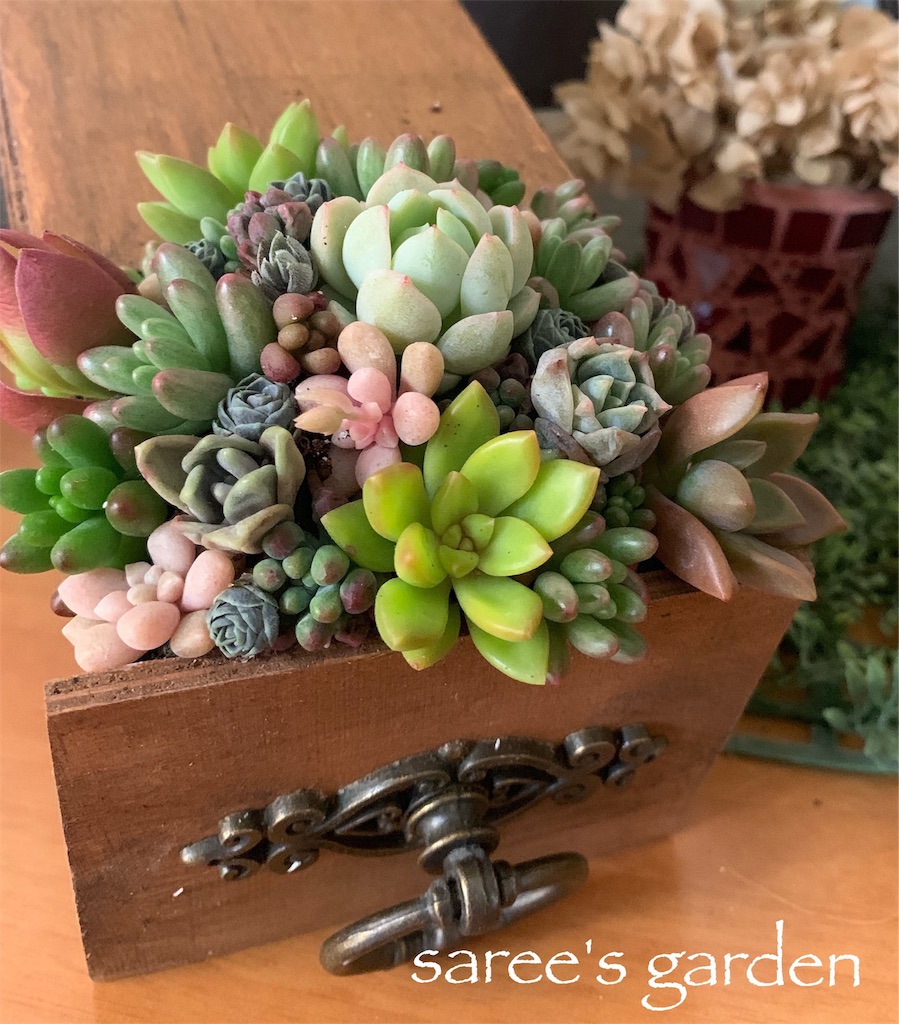 f:id:sarees:20190502090649j:image