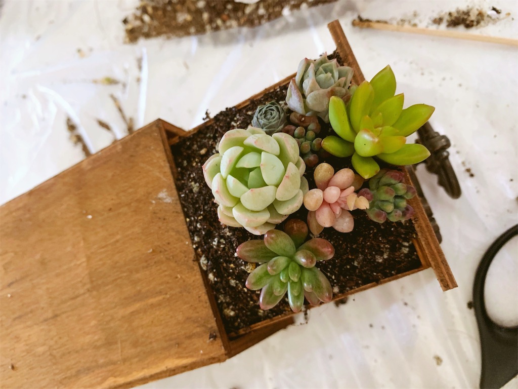 f:id:sarees:20190502090653j:image