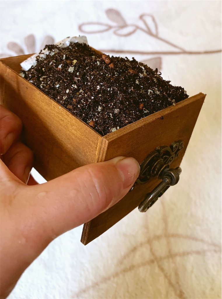 f:id:sarees:20190502090655j:image