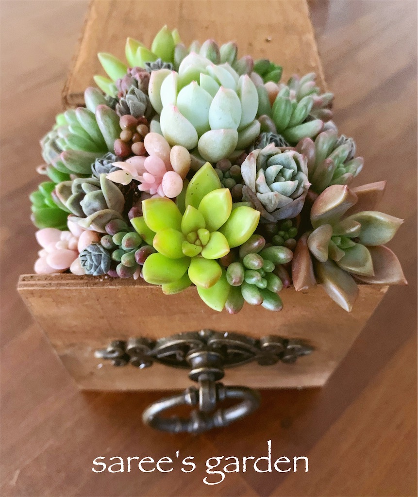 f:id:sarees:20190502090701j:image