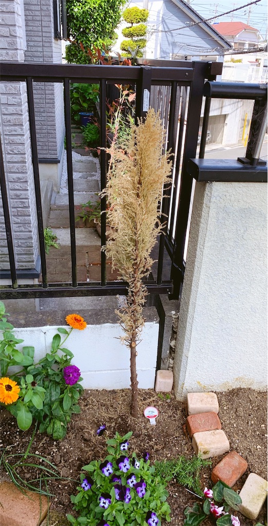 f:id:sarees:20190503104916j:image