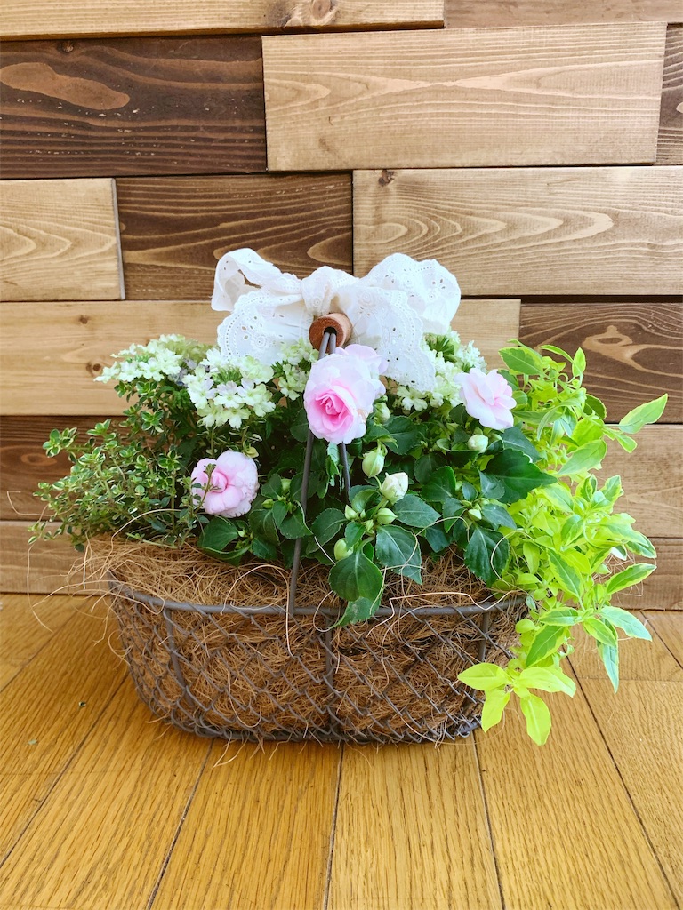 f:id:sarees:20190512184917j:image