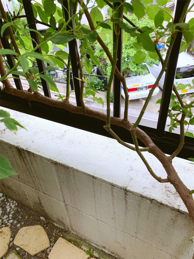 f:id:sarees:20190514113903j:image