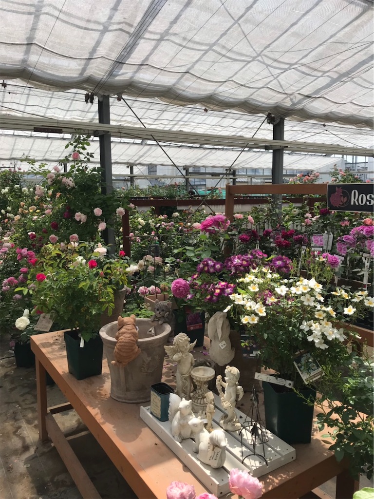 f:id:sarees:20190514181659j:plain