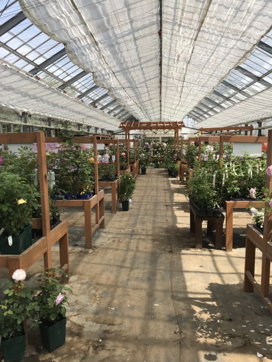 f:id:sarees:20190514191456j:plain