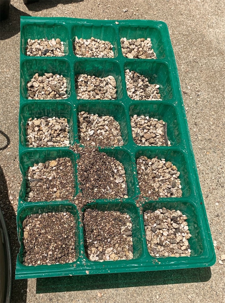 f:id:sarees:20190522190617j:image