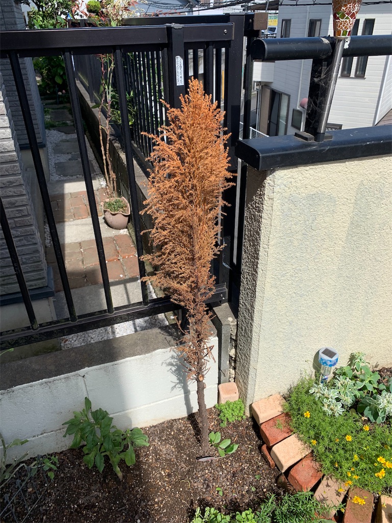 f:id:sarees:20190612194818j:image