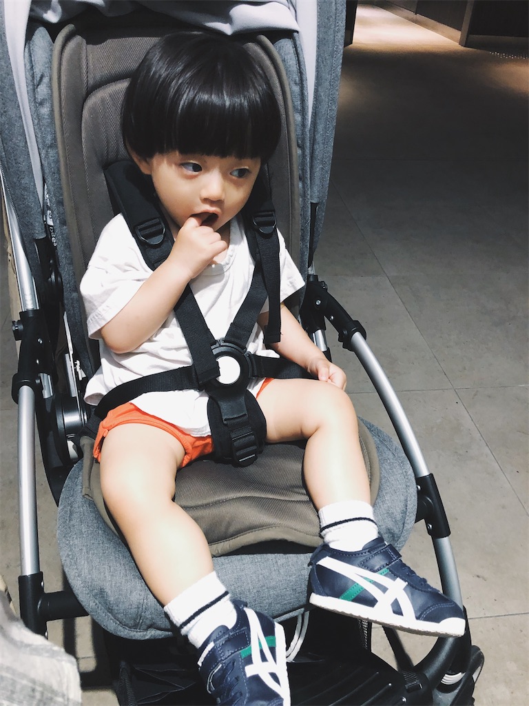 f:id:sari1126:20200309000950j:image f:id:sari1126:20200309000950j:image