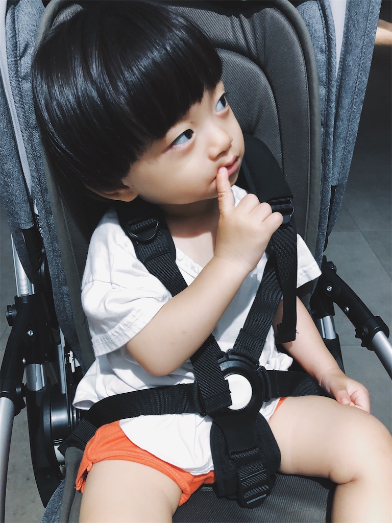 f:id:sari1126:20200309001018j:image f:id:sari1126:20200309001018j:image