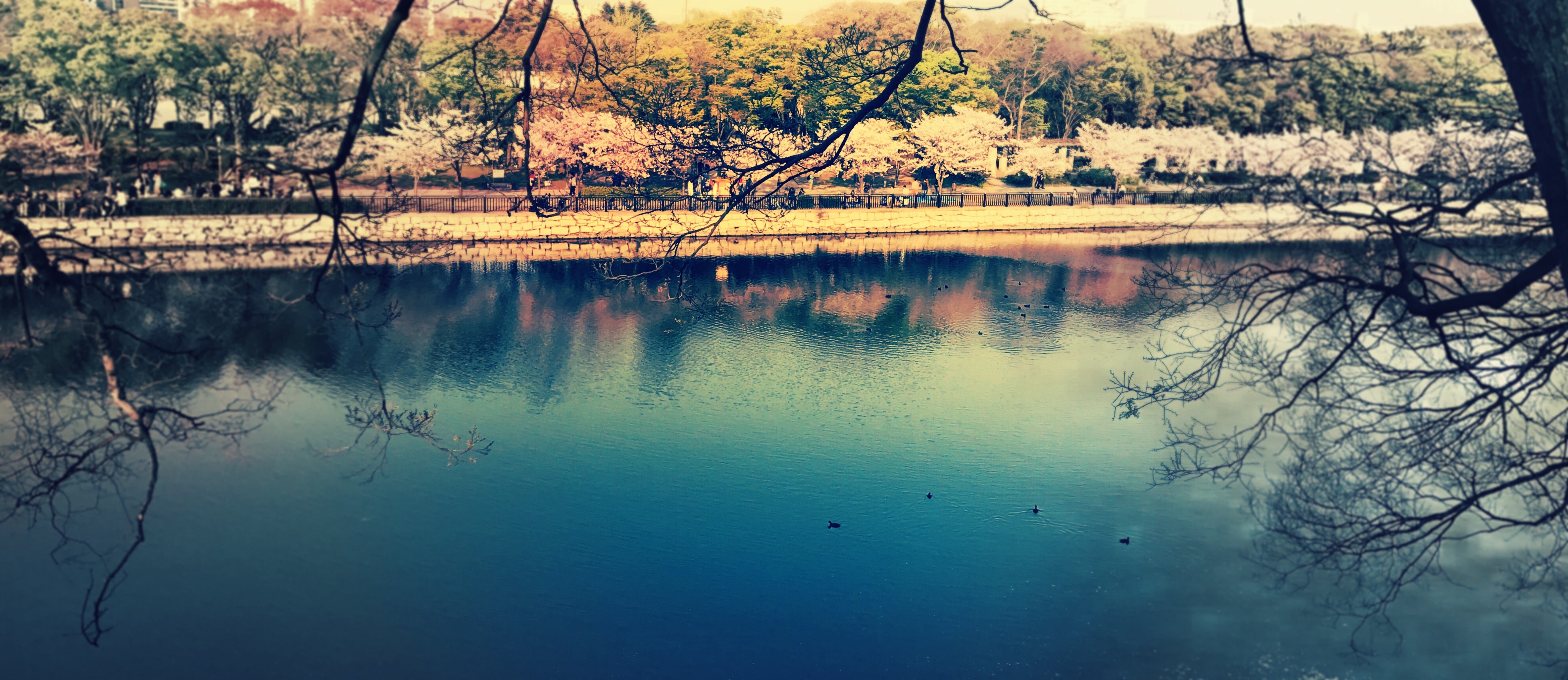 f:id:sarkorinko:20170424021530j:image f:id:sarkorinko:20170424021530j:image
