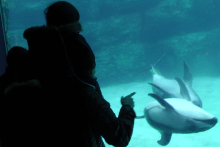 f:id:sarry2:20120104120508j:image:right f:id:sarry2:20120104120508j:image:right