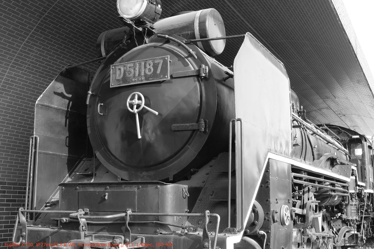 デゴイチ - さーさるの独り言