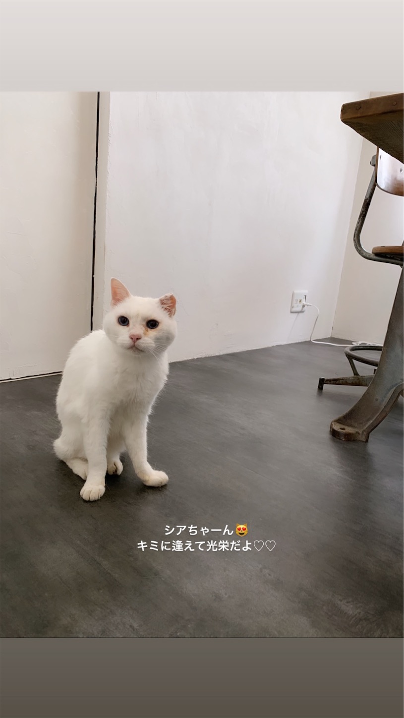 f:id:sartoria_life_days:20190709113458j:image f:id:sartoria_life_days:20190709113458j:image