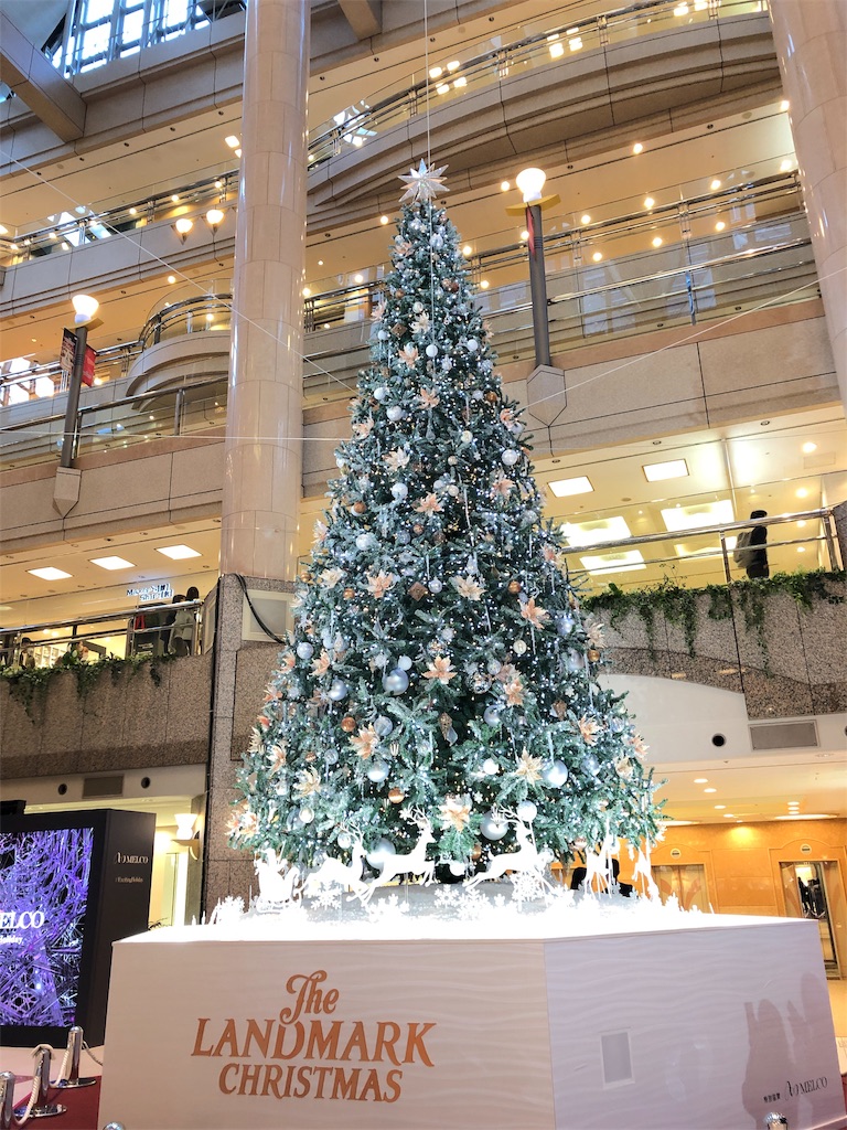 f:id:saruge:20181201201645j:image