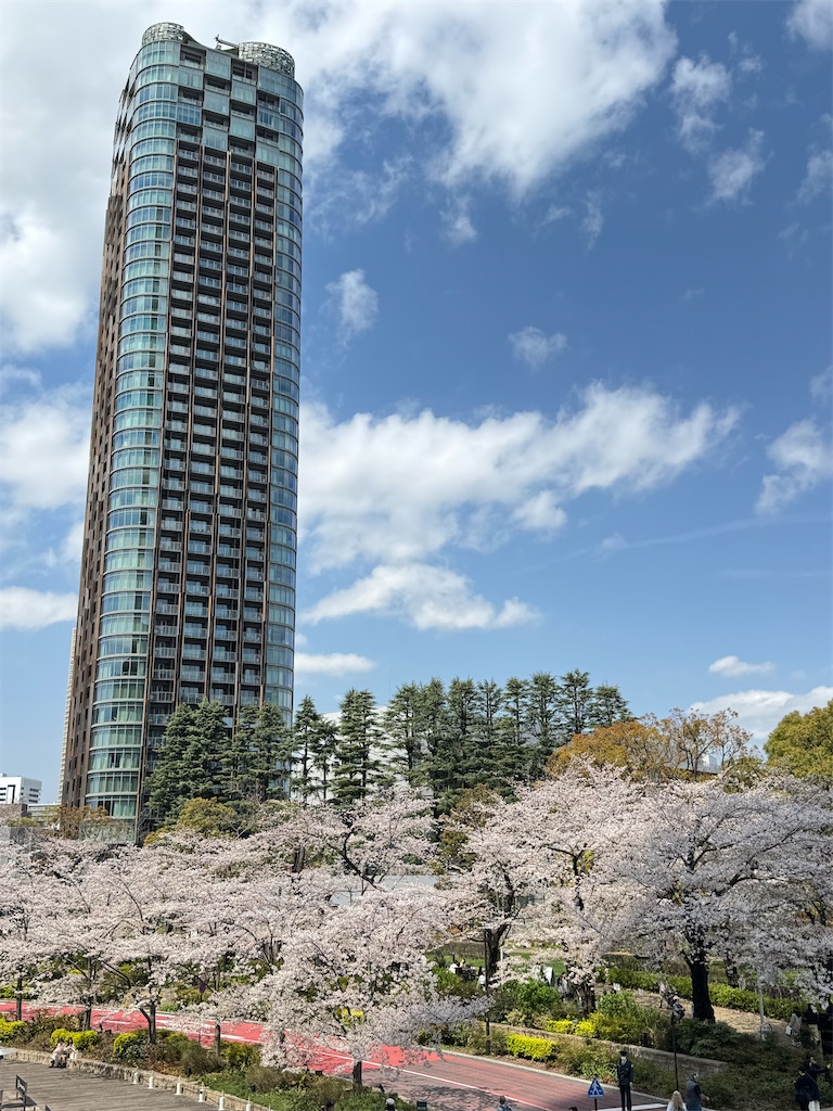 f:id:saruge:20250405202917j:image f:id:saruge:20250405202917j:image