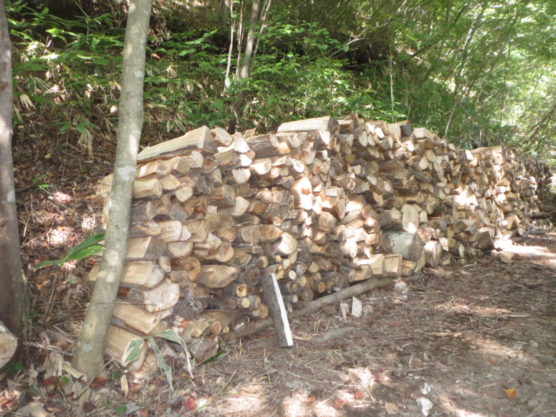 f:id:saruhanatree:20140920144727j:image:w360:right f:id:saruhanatree:20140920144727j:image:w360:right