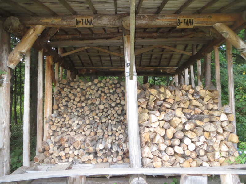 f:id:saruhanatree:20140920150732j:image:w360:right f:id:saruhanatree:20140920150732j:image:w360:right