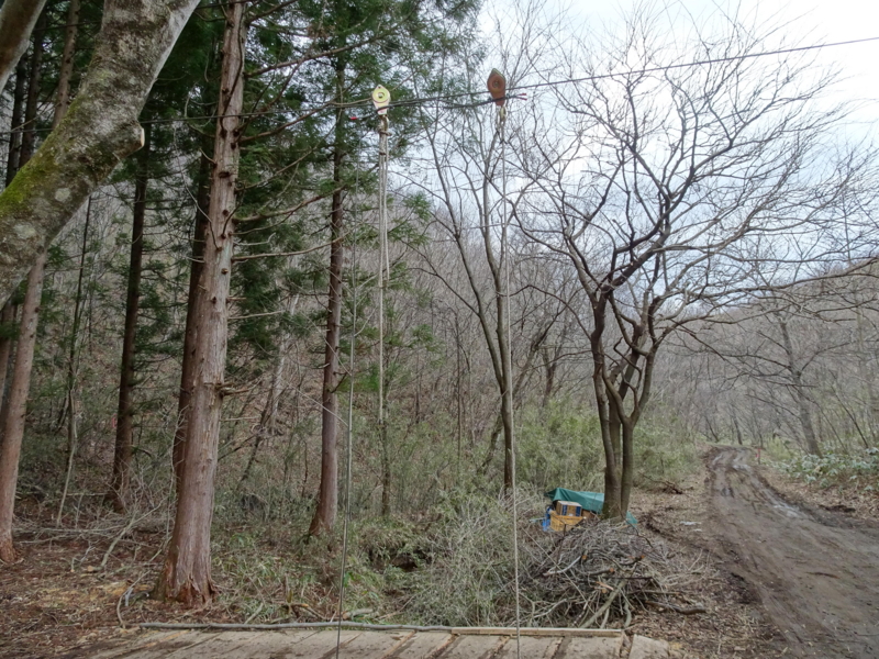 f:id:saruhanatree:20160323113359j:image:w360:right