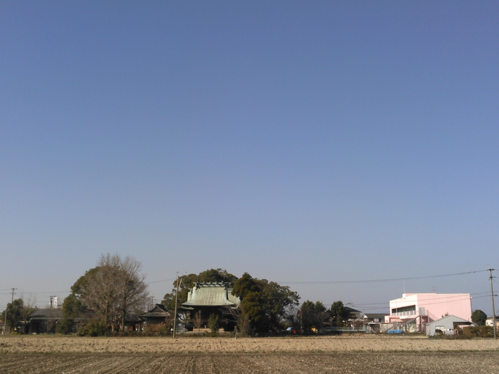 f:id:sarukoo:20170103124647j:plain