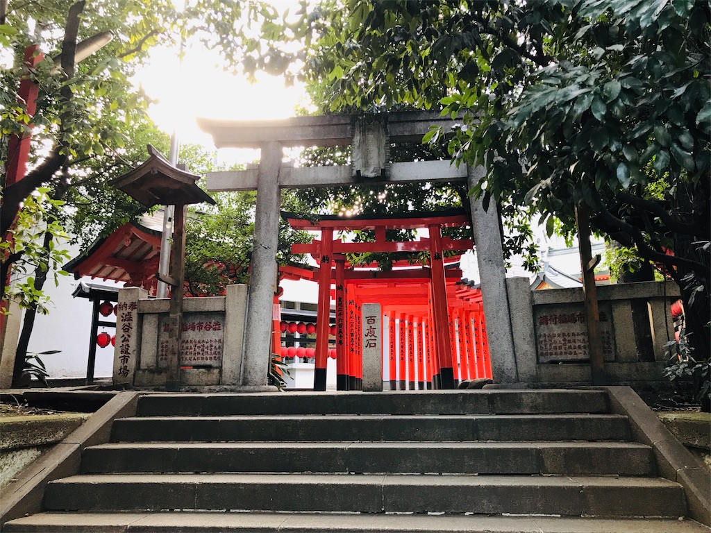 f:id:sarukun-blog:20190303222520j:plain f:id:sarukun-blog:20190303222520j:plain
