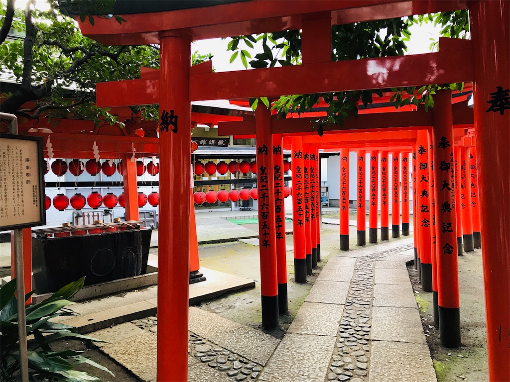 f:id:sarukun-blog:20190303222524j:plain f:id:sarukun-blog:20190303222524j:plain