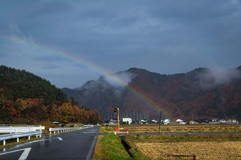f:id:sarukun-blog:20190311215514j:plain f:id:sarukun-blog:20190311215514j:plain
