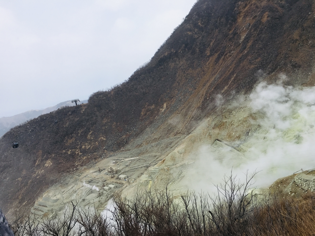f:id:sarukun-blog:20190317230359j:plain f:id:sarukun-blog:20190317230359j:plain