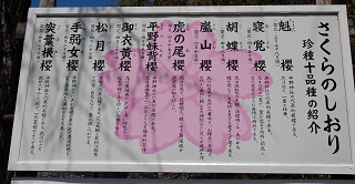 f:id:sarunokinobori:20120329122642j:plain