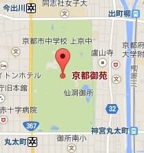 f:id:sarunokinobori:20150220161051j:plain