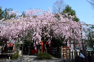 f:id:sarunokinobori:20150330215956j:plain f:id:sarunokinobori:20150330215956j:plain