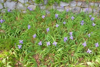 f:id:sarunokinobori:20150430004144j:plain