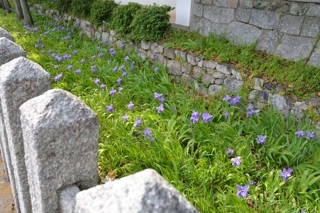 f:id:sarunokinobori:20150430004250j:plain