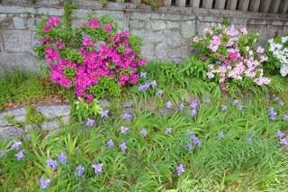 f:id:sarunokinobori:20150430004337j:plain