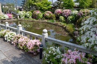 f:id:sarunokinobori:20150507235906j:plain