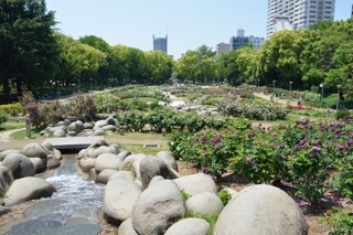 f:id:sarunokinobori:20150508204845j:plain