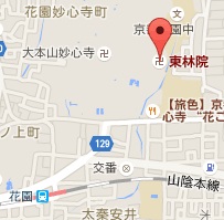 f:id:sarunokinobori:20150607123025j:plain