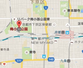 f:id:sarunokinobori:20151112211027j:plain