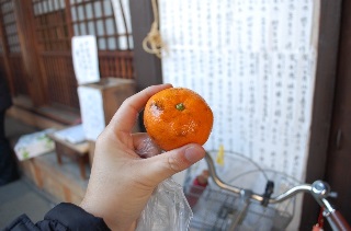 f:id:sarunokinobori:20160113205824j:plain
