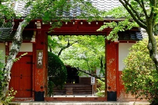 f:id:sarunokinobori:20160427210323j:plain