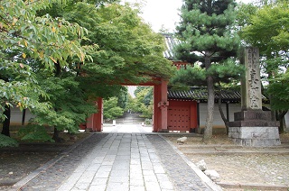 f:id:sarunokinobori:20160603204323j:plain